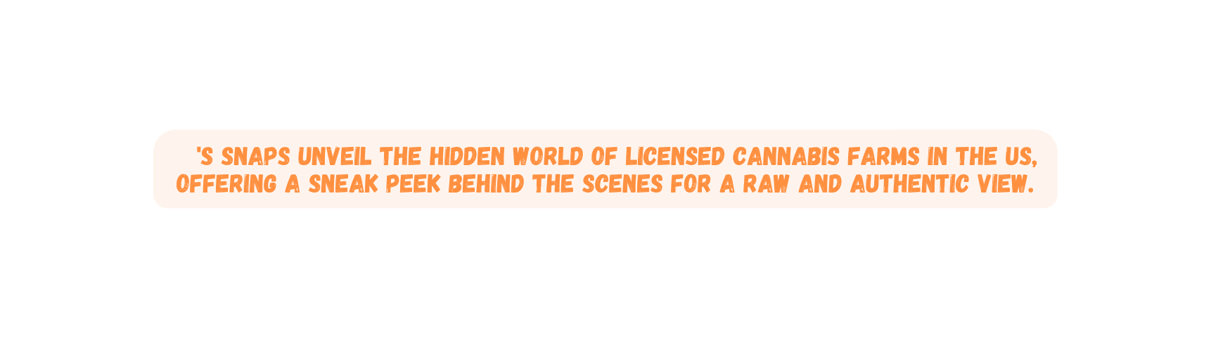 s snaps unveil the hidden world of licensed cannabis farms in the US offering a sneak peek behind the scenes for a raw and authentic view